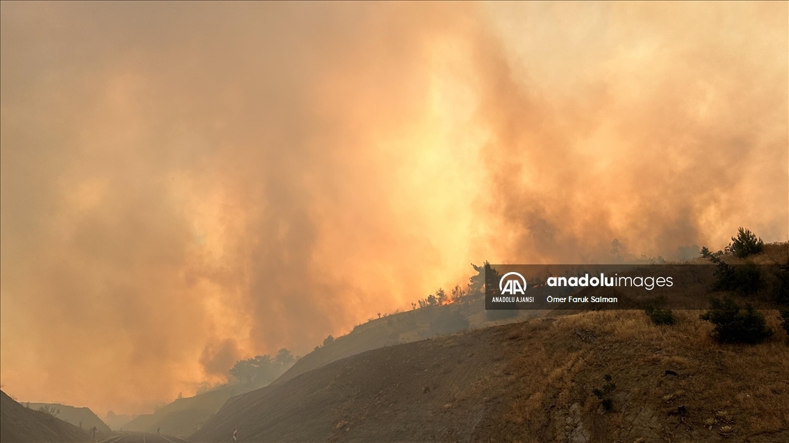 Kahramanmaraş'ta çıkan orman yangınına müdahale ediliyor