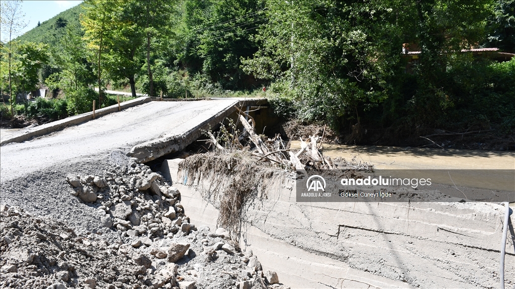 Düzce'deki selden etkilenen köyün sakinleri güvenli bir bölgeye taşınmak istiyor