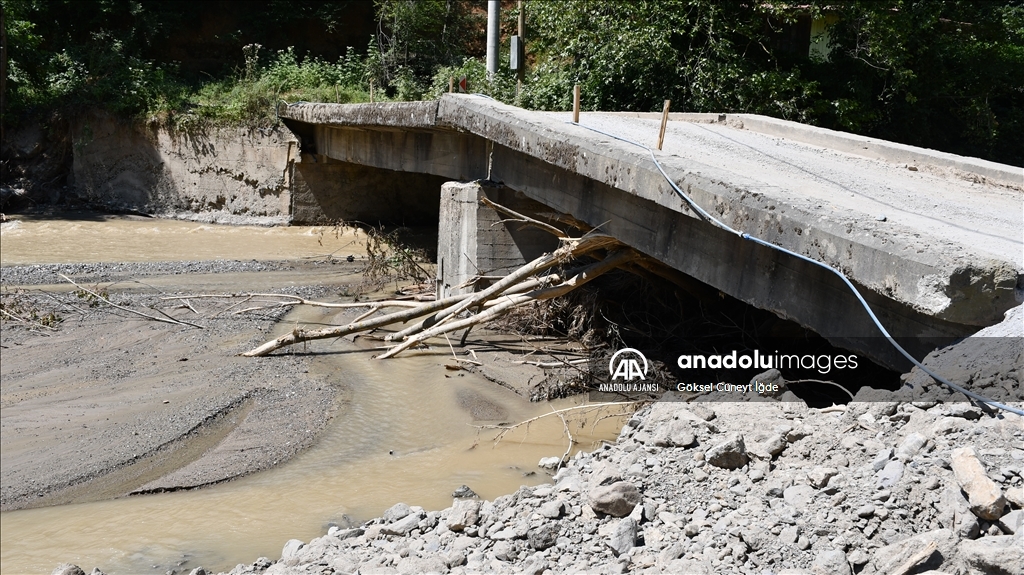 Düzce'deki selden etkilenen köyün sakinleri güvenli bir bölgeye taşınmak istiyor