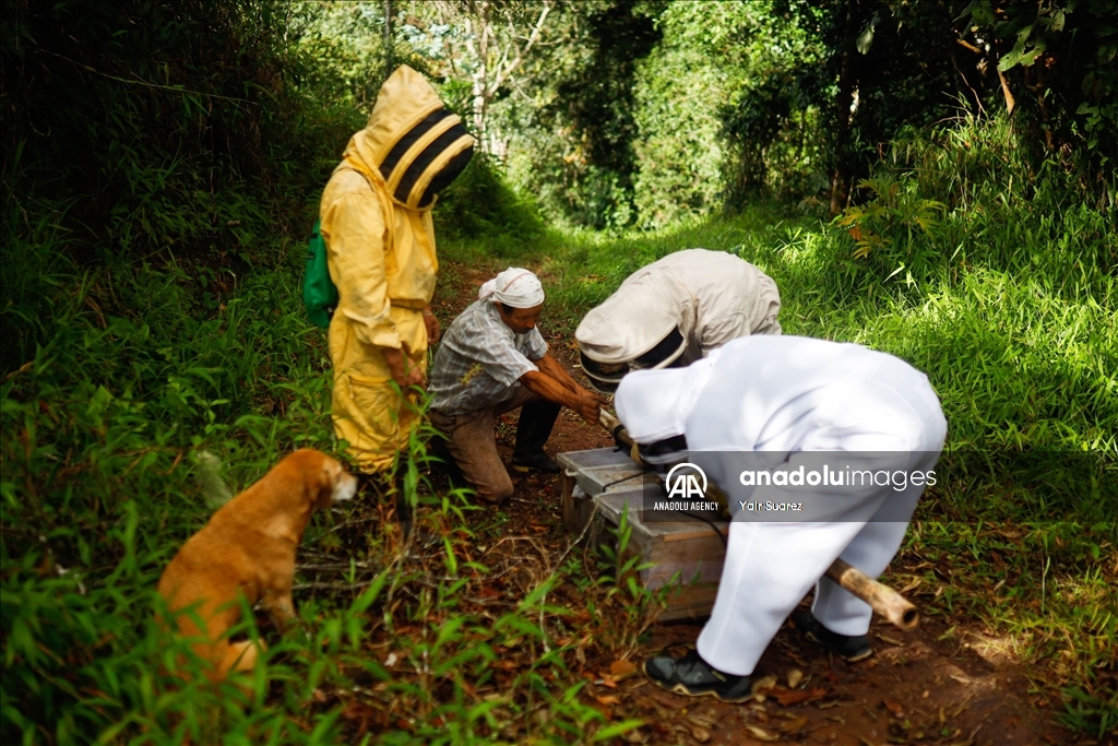 Beekeepers in Colombia prepare to face the El Nino Phenomenon