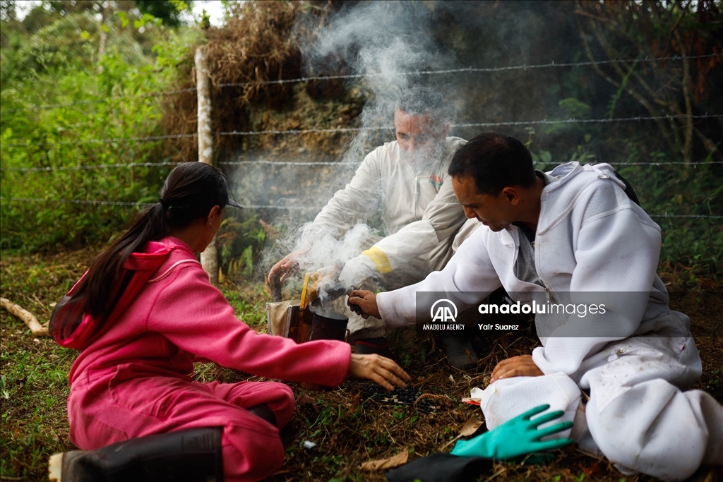 Beekeepers in Colombia prepare to face the El Nino Phenomenon