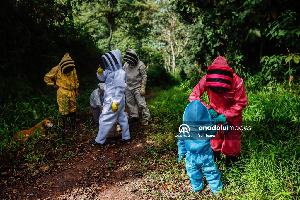 Beekeepers in Colombia prepare to face the El Nino Phenomenon