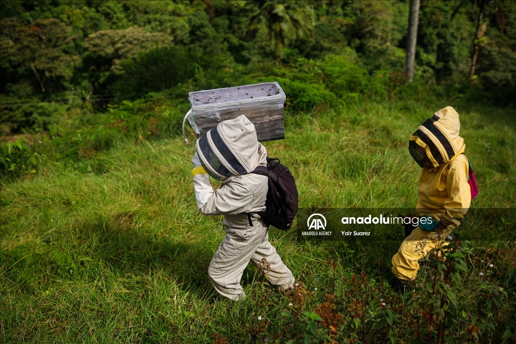 Beekeepers in Colombia prepare to face the El Nino Phenomenon