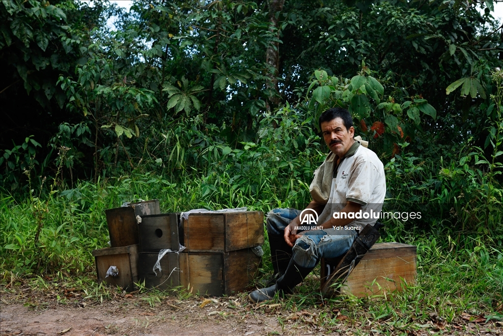 Beekeepers in Colombia prepare to face the El Nino Phenomenon