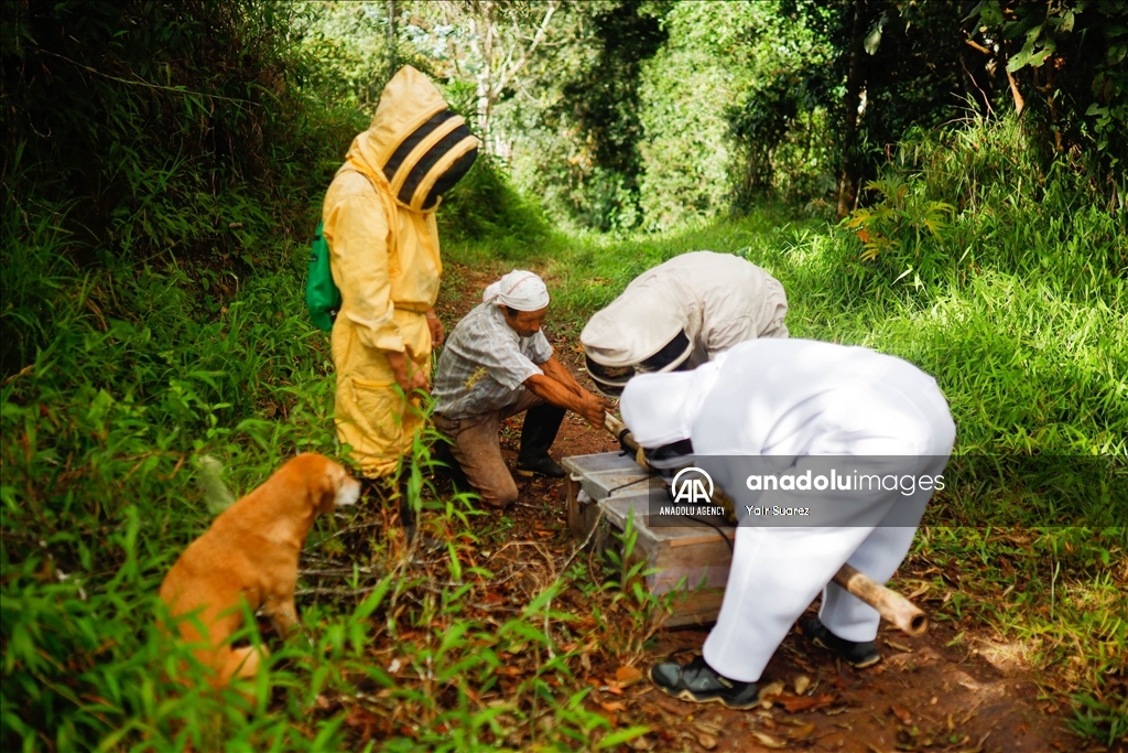 Beekeepers in Colombia prepare to face the El Nino Phenomenon
