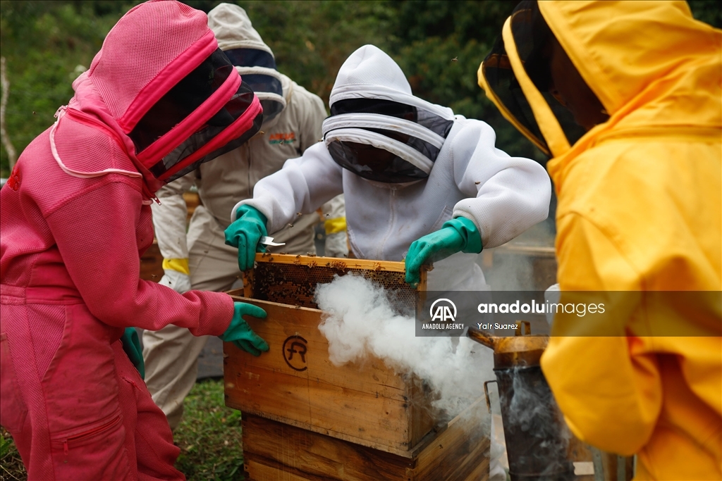 Beekeepers in Colombia prepare to face the El Nino Phenomenon