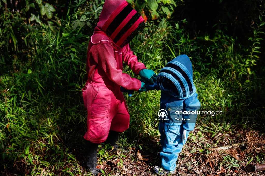 Beekeepers in Colombia prepare to face the El Nino Phenomenon