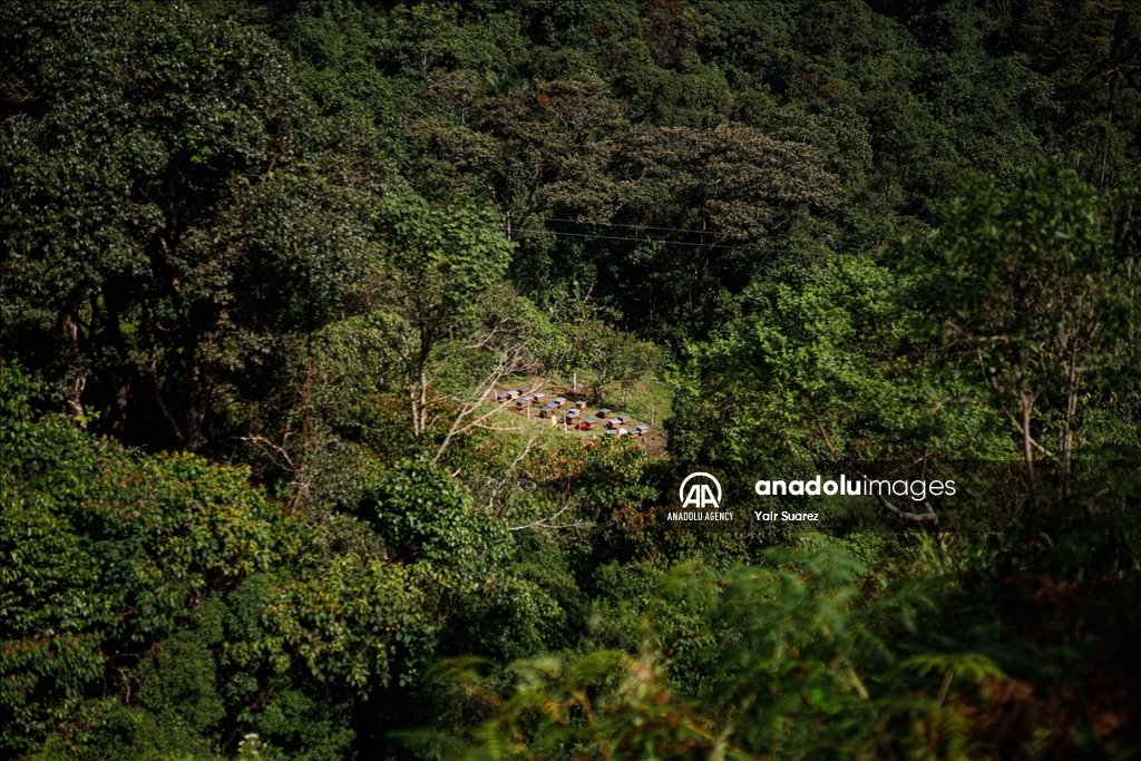 Beekeepers in Colombia prepare to face the El Nino Phenomenon