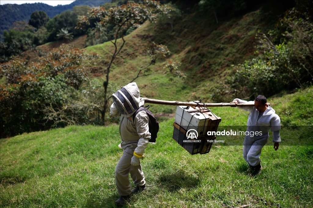 Beekeepers in Colombia prepare to face the El Nino Phenomenon