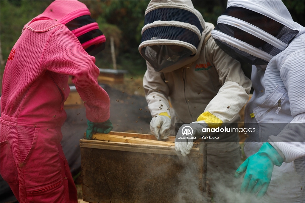 Beekeepers in Colombia prepare to face the El Nino Phenomenon