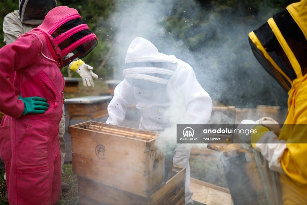 Beekeepers in Colombia prepare to face the El Nino Phenomenon