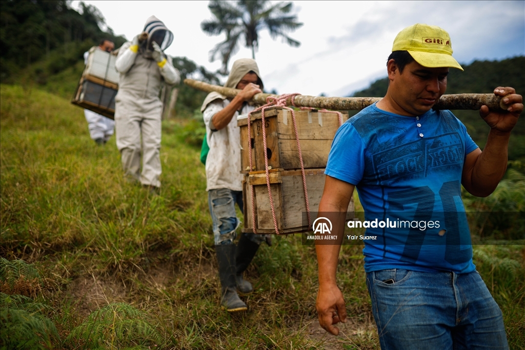Beekeepers in Colombia prepare to face the El Nino Phenomenon