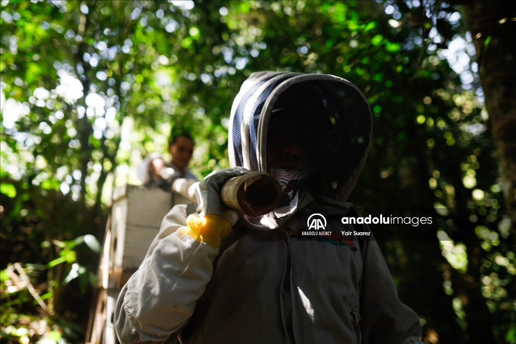 Beekeepers in Colombia prepare to face the El Nino Phenomenon