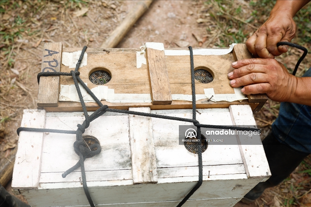 Beekeepers in Colombia prepare to face the El Nino Phenomenon