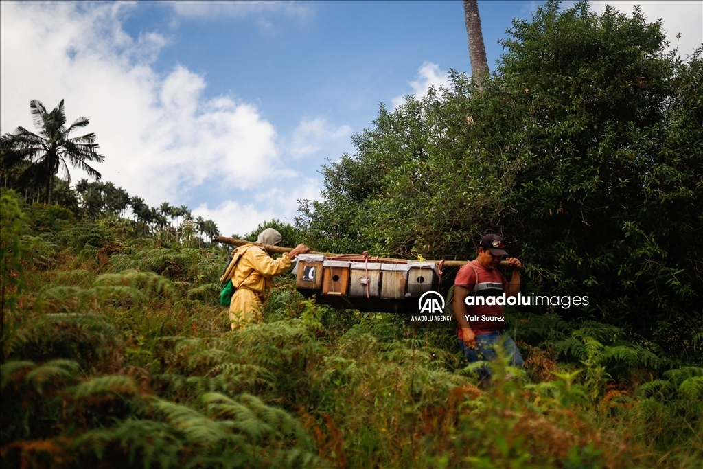 Beekeepers in Colombia prepare to face the El Nino Phenomenon