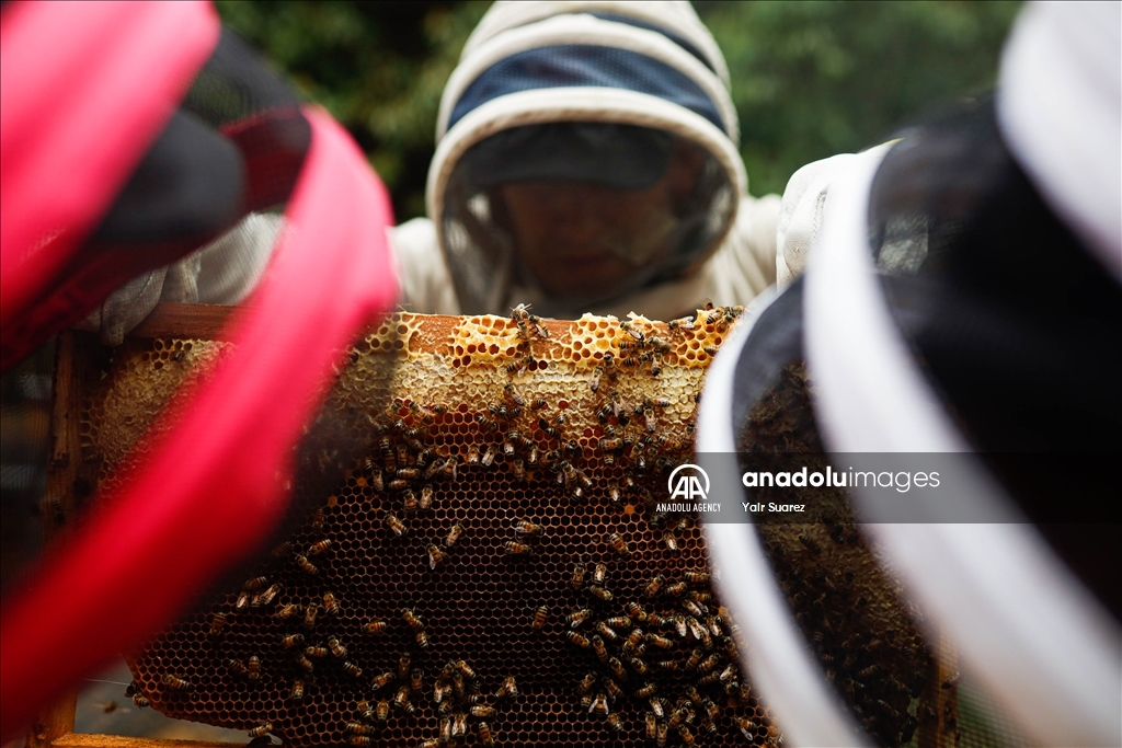 Beekeepers in Colombia prepare to face the El Nino Phenomenon