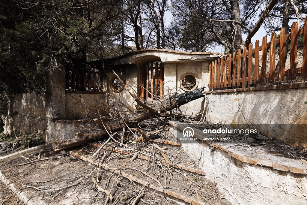 Forest fires in Sicily damaged settlements