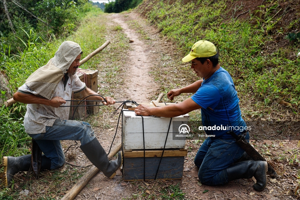 Beekeepers in Colombia prepare to face the El Nino Phenomenon