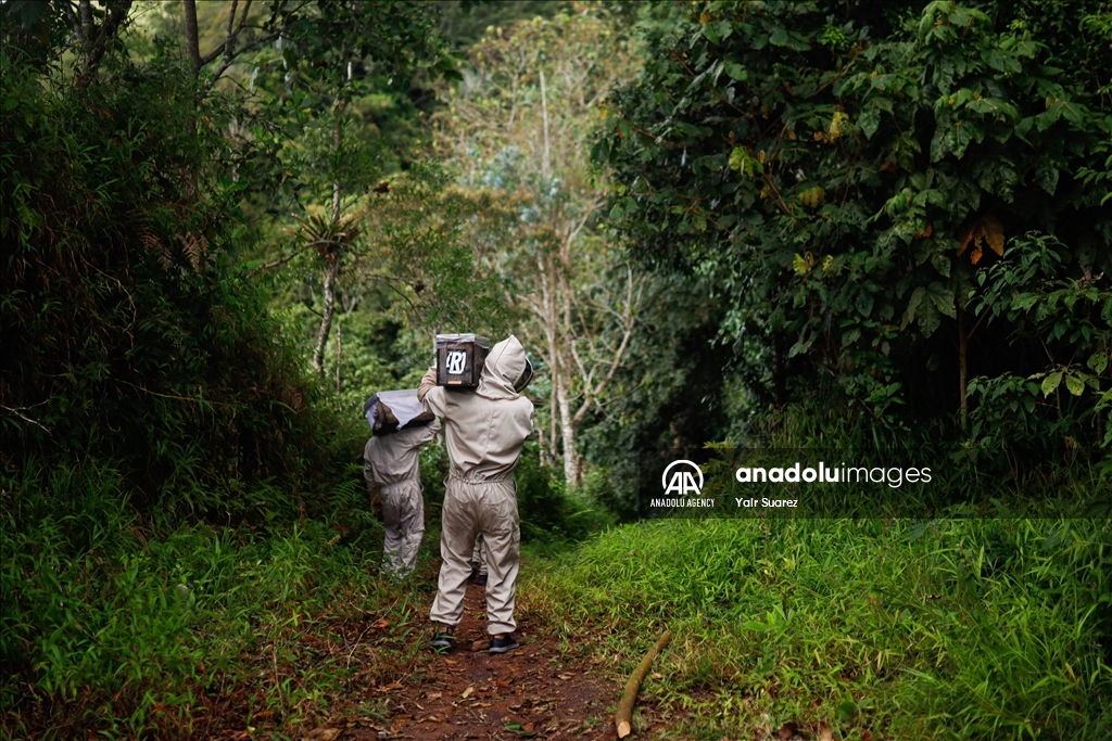 Beekeepers in Colombia prepare to face the El Nino Phenomenon