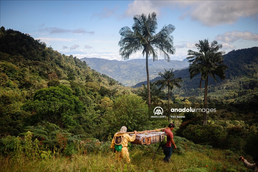 Beekeepers in Colombia prepare to face the El Nino Phenomenon