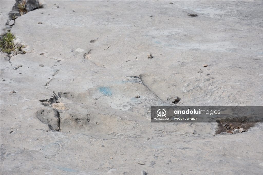Turkmenistan is home to millions of years old dinosaur footprints