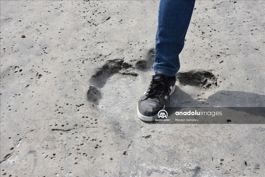 Turkmenistan is home to millions of years old dinosaur footprints