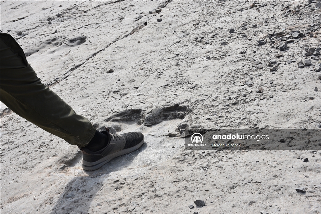 Turkmenistan is home to millions of years old dinosaur footprints