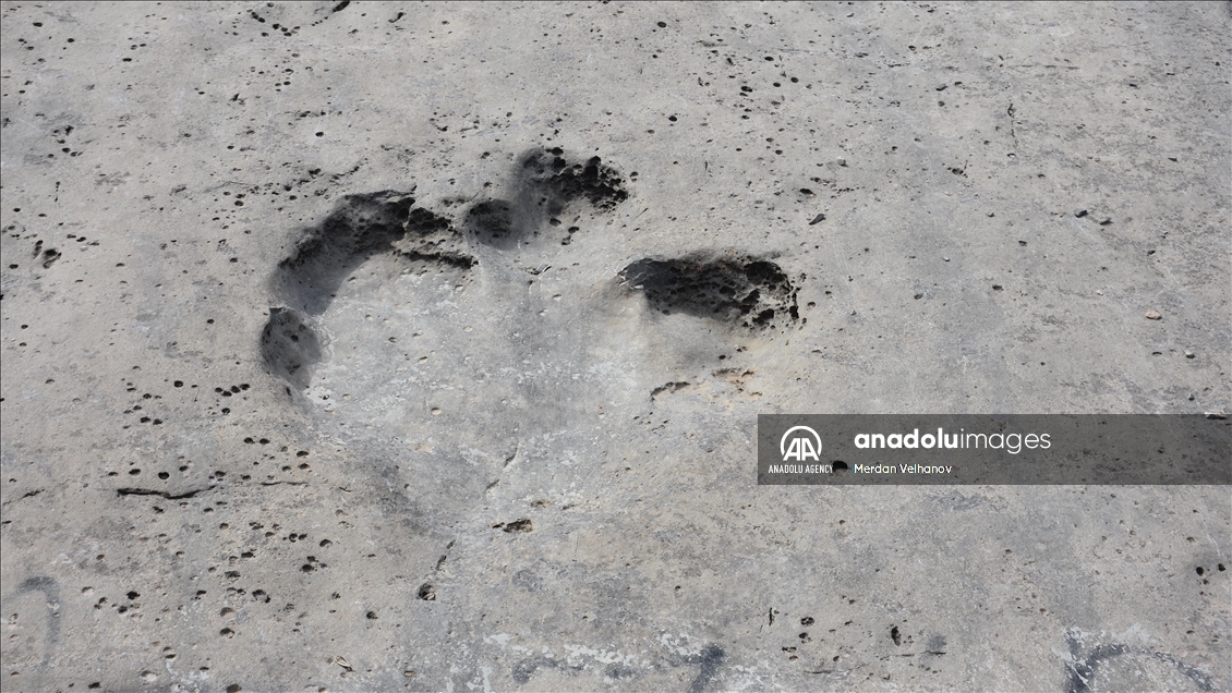 Turkmenistan is home to millions of years old dinosaur footprints