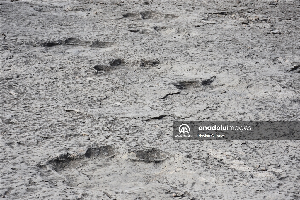 Turkmenistan is home to millions of years old dinosaur footprints