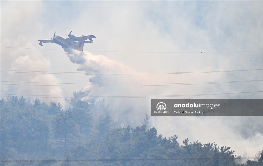 İzmir'de alev alan otomobil orman yangınına yol açtı