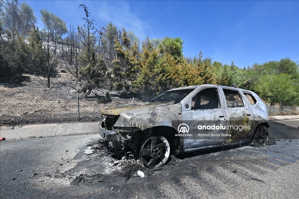 İzmir'de alev alan otomobil orman yangınına yol açtı
