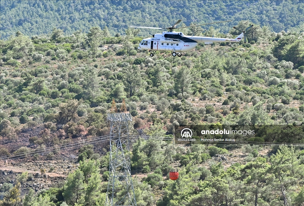 İzmir'de alev alan otomobil orman yangınına yol açtı