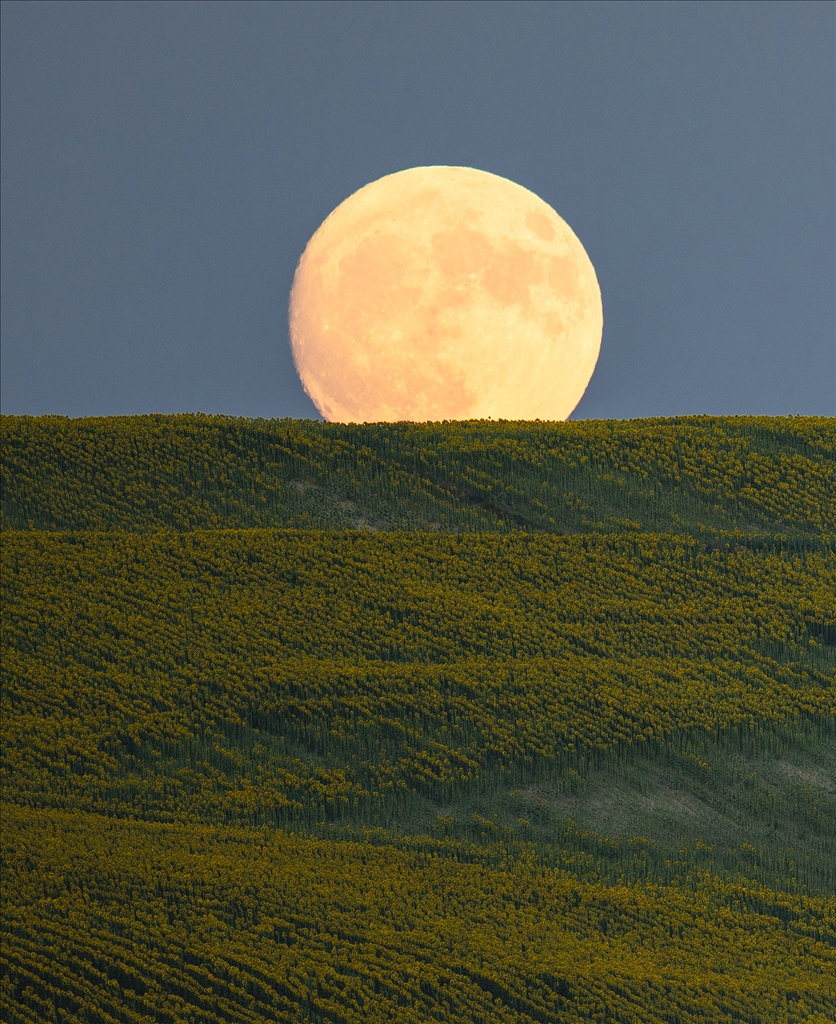 Super Moon in Istanbul 