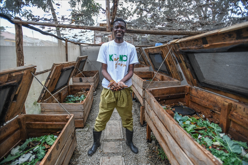Snail farming in Kenya