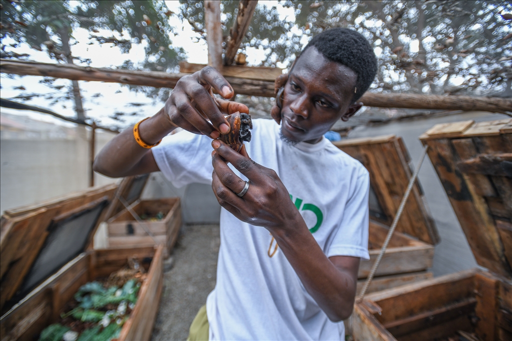 Snail farming in Kenya