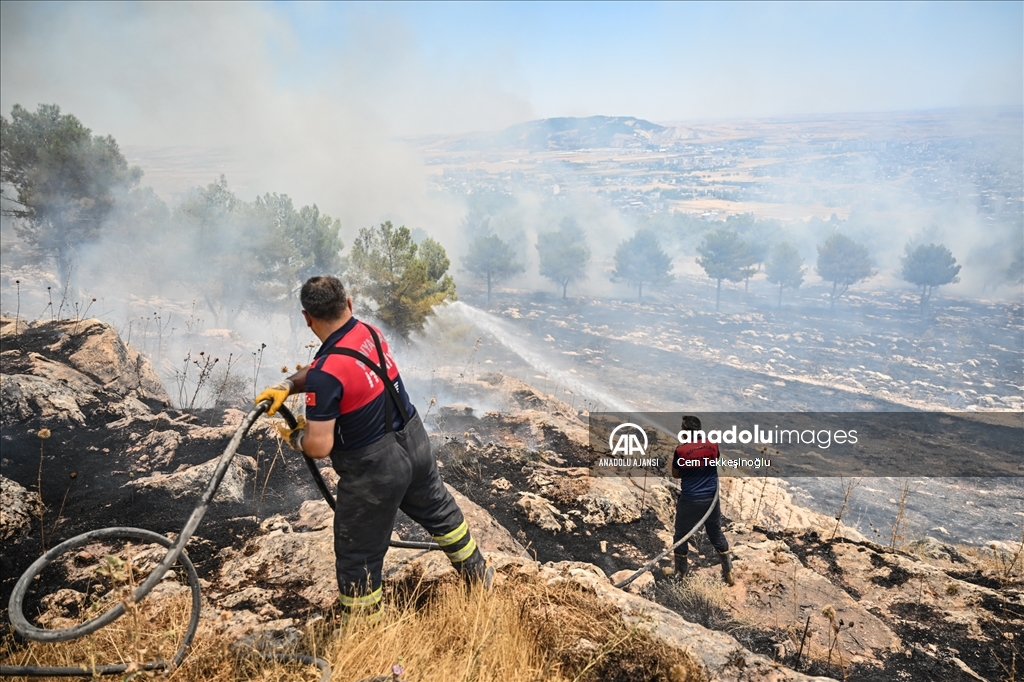 Adıyaman'da orman yangını