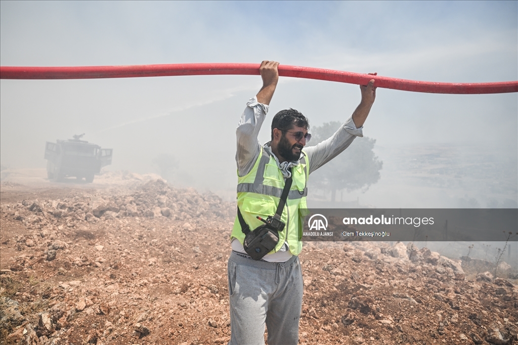 Adıyaman'da orman yangını