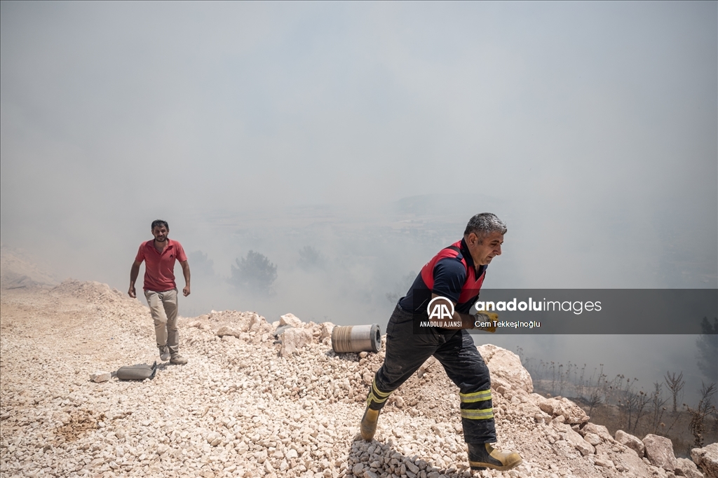 Adıyaman'da orman yangını