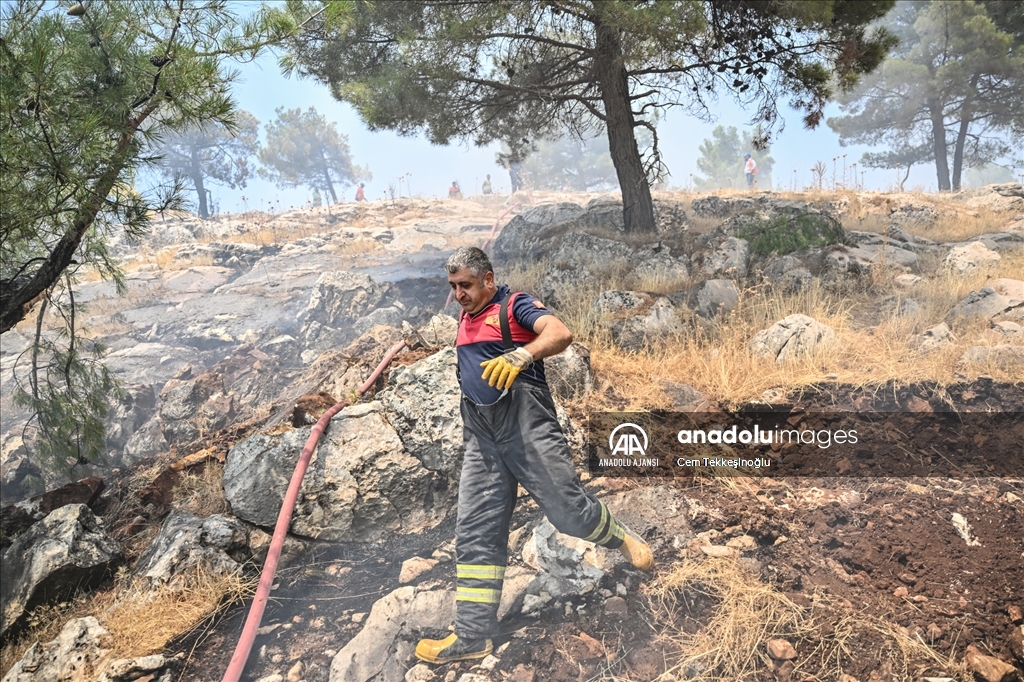 Adıyaman'da orman yangını