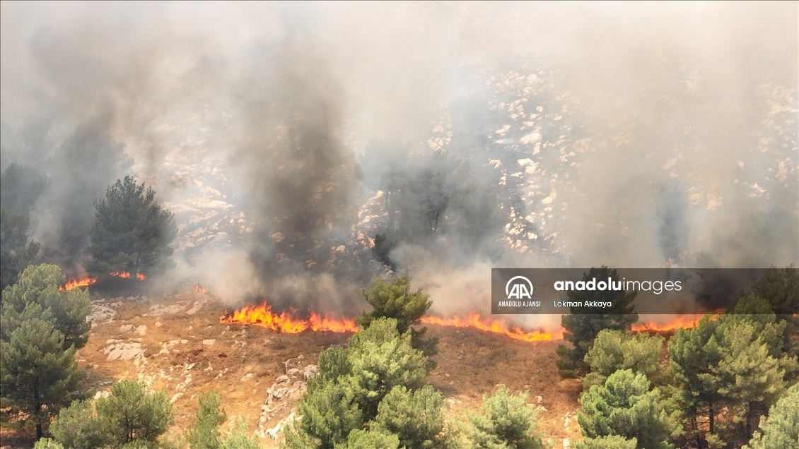 Adıyaman'da ormanlık alanda çıkan yangına müdahale ediliyor