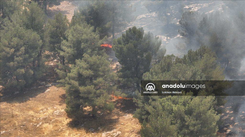 Adıyaman'da ormanlık alanda çıkan yangına müdahale ediliyor