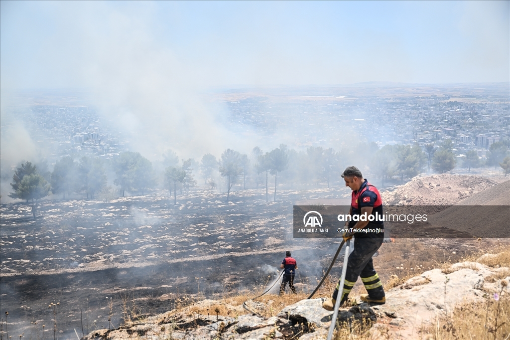 Adıyaman'da orman yangını