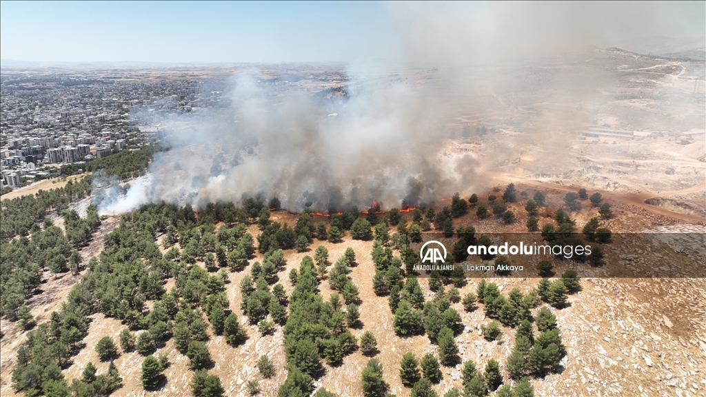 Adıyaman'da ormanlık alanda çıkan yangına müdahale ediliyor