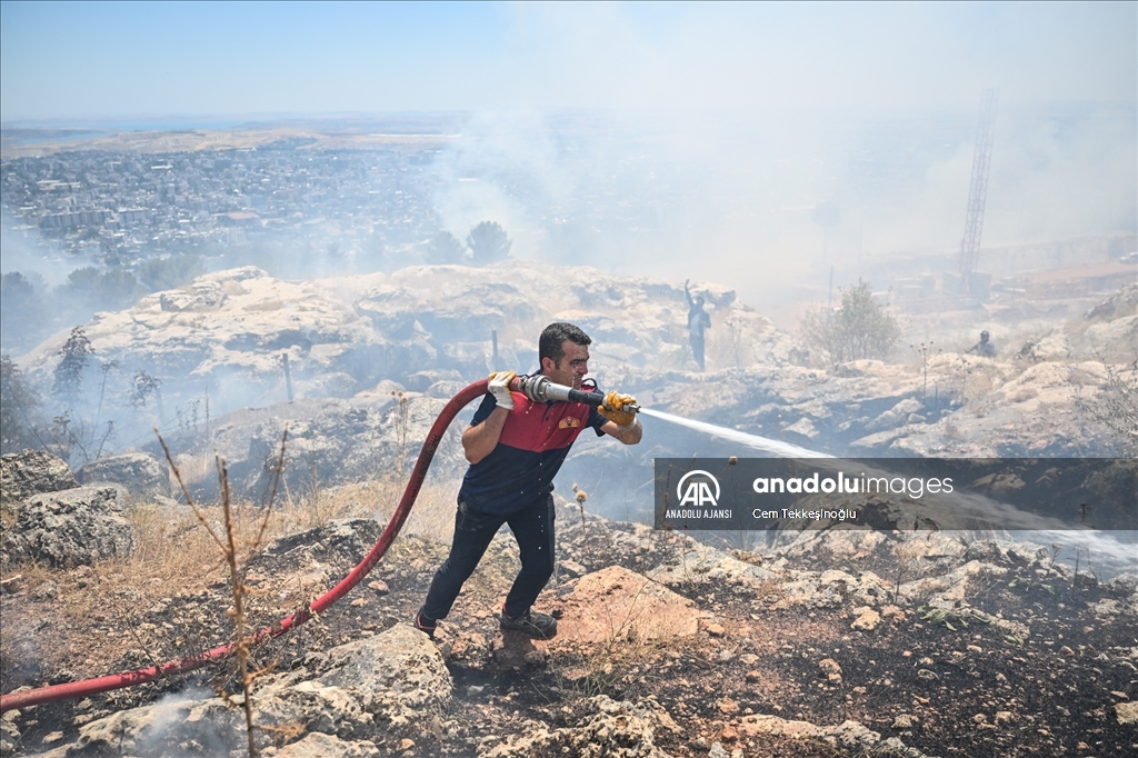 Adıyaman'da orman yangını