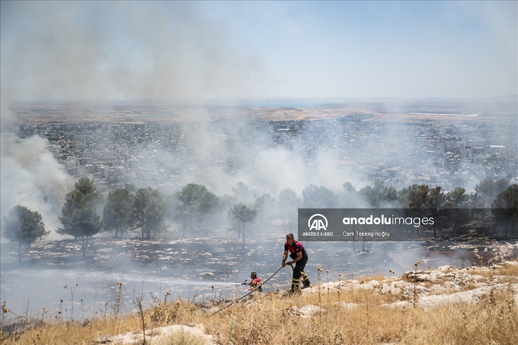 Adıyaman'da orman yangını