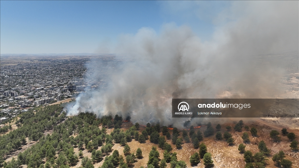 Adıyaman'da ormanlık alanda çıkan yangına müdahale ediliyor