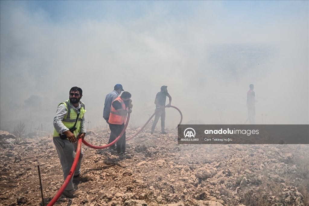 Adıyaman'da orman yangını