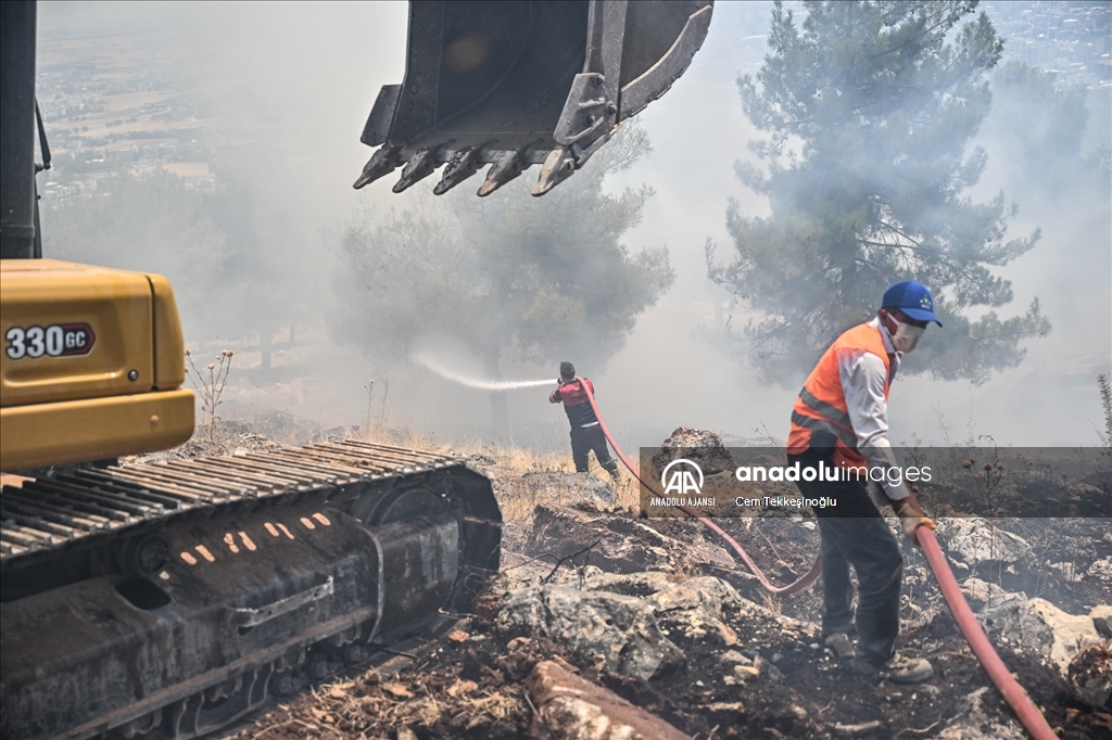 Adıyaman'da orman yangını