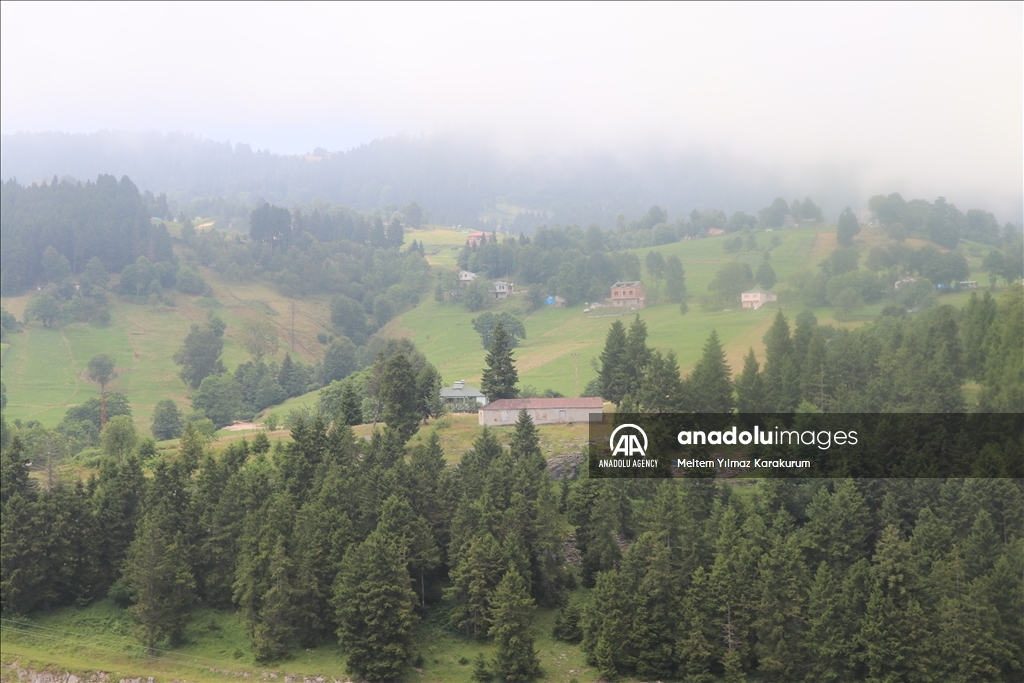 "شاهين قايا" التركية.. قمة الجمال قبلة لمتسلقي الجبال