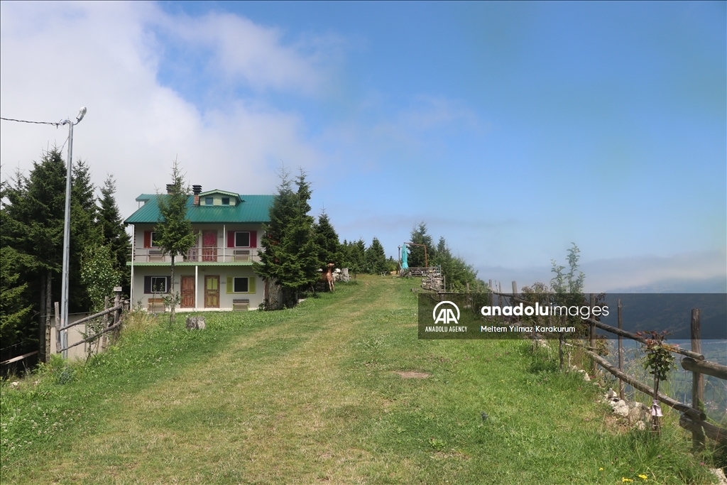 "شاهين قايا" التركية.. قمة الجمال قبلة لمتسلقي الجبال